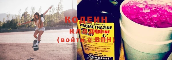 индика Володарск