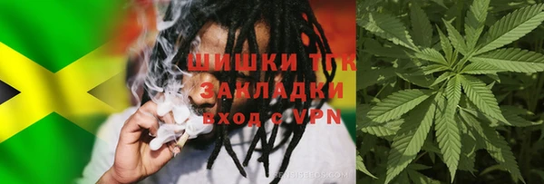 индика Володарск