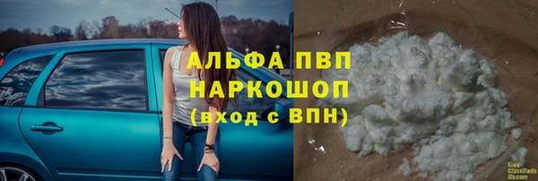 стафф Волоколамск