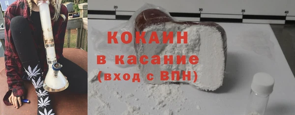 индика Волосово