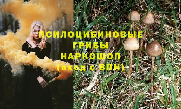 индика Волосово
