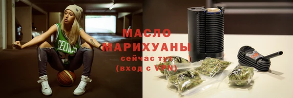 индика Волосово