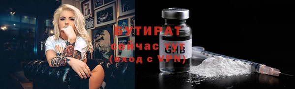 индика Володарск