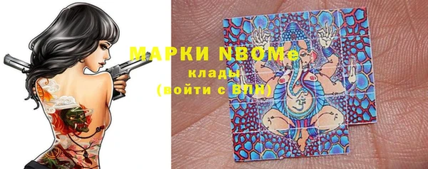 индика Володарск