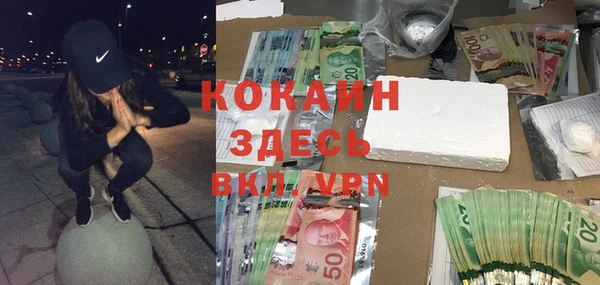 индика Волосово