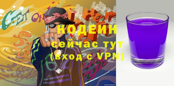 индика Волосово