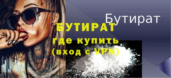 индика Володарск