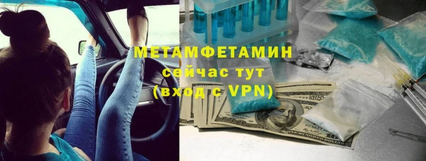индика Волосово