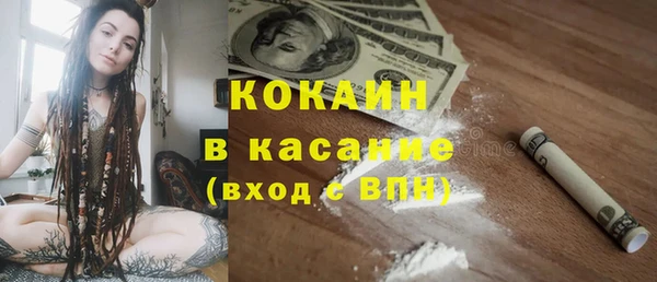 индика Волосово
