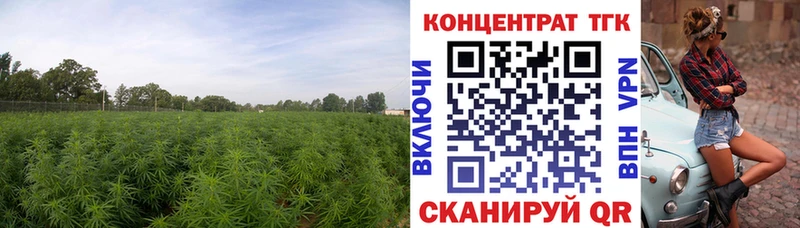 ТГК жижа  Купить где  Куйбышев 