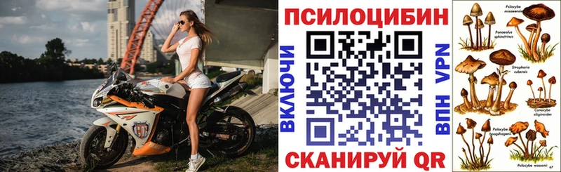Купить  Куйбышев  Галлюциногенные грибы Psilocybe 